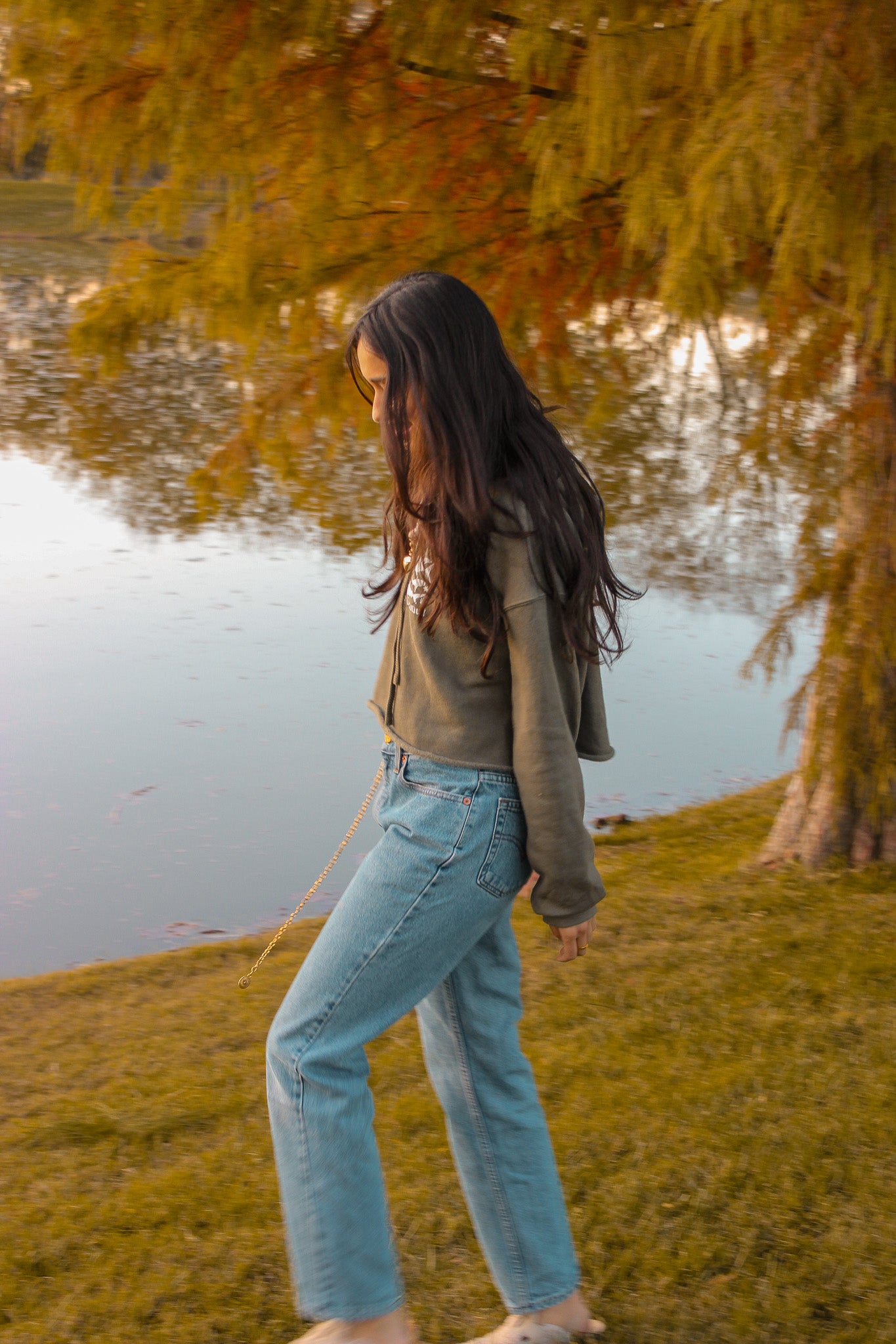 Reef Shark Cropped Hoodie